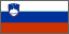 flagslo.gif (382 bytes)